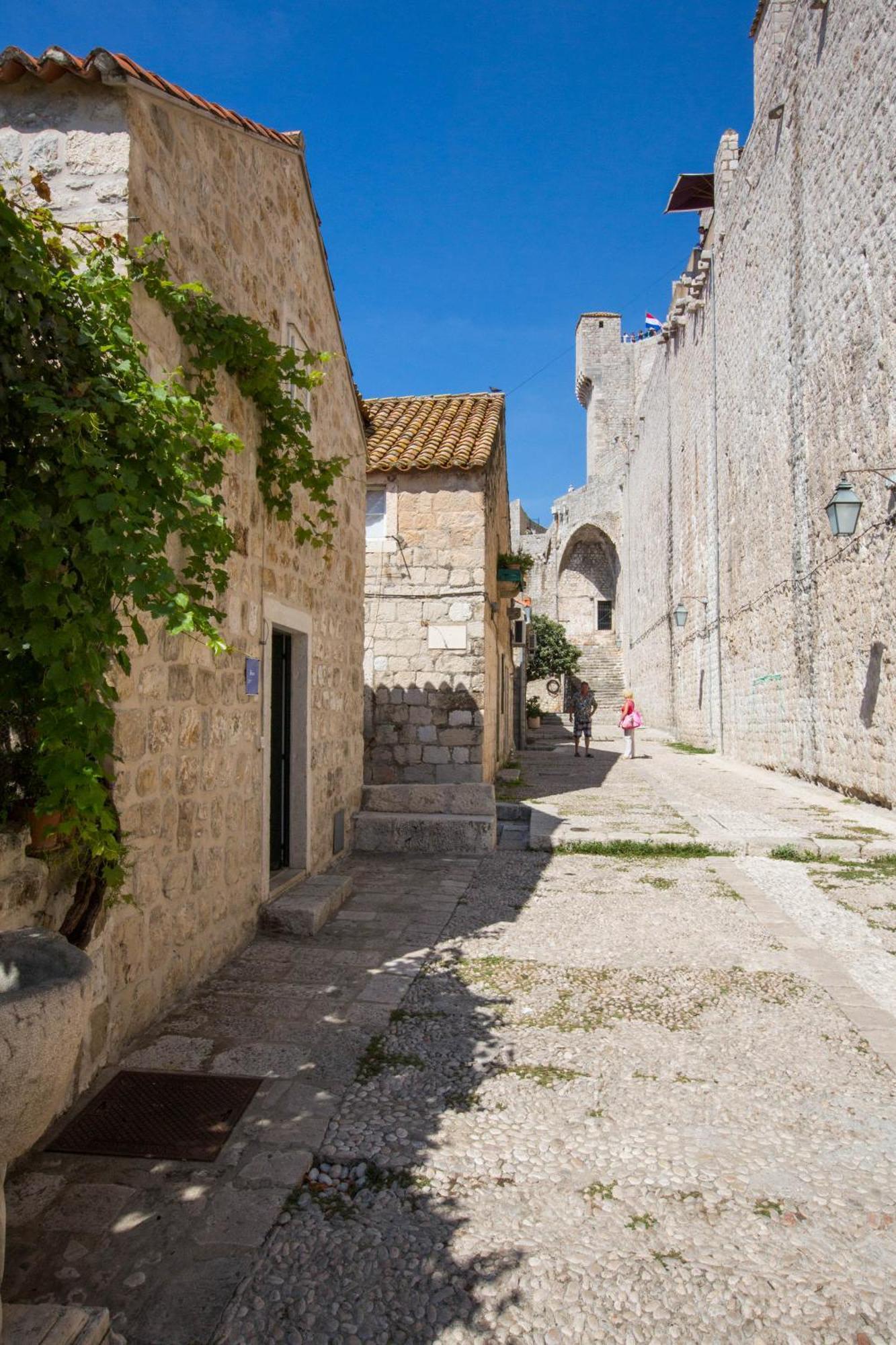 Studio Sunny Garden Dubrovnik Eksteriør billede